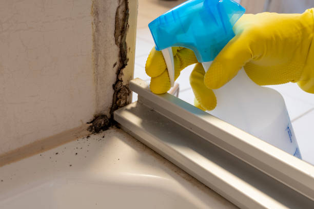 Best Crawl Space Mold Removal  in Akron, CO