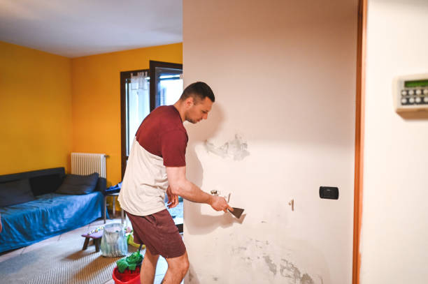 Best Mold Damage Repair  in Akron, CO